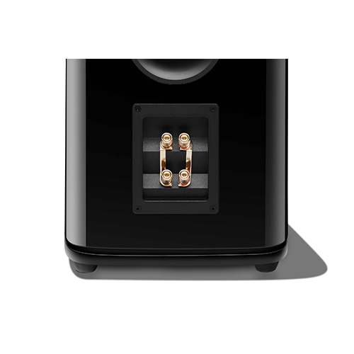 Dual sets of gold-plated binding posts with shorting straps.